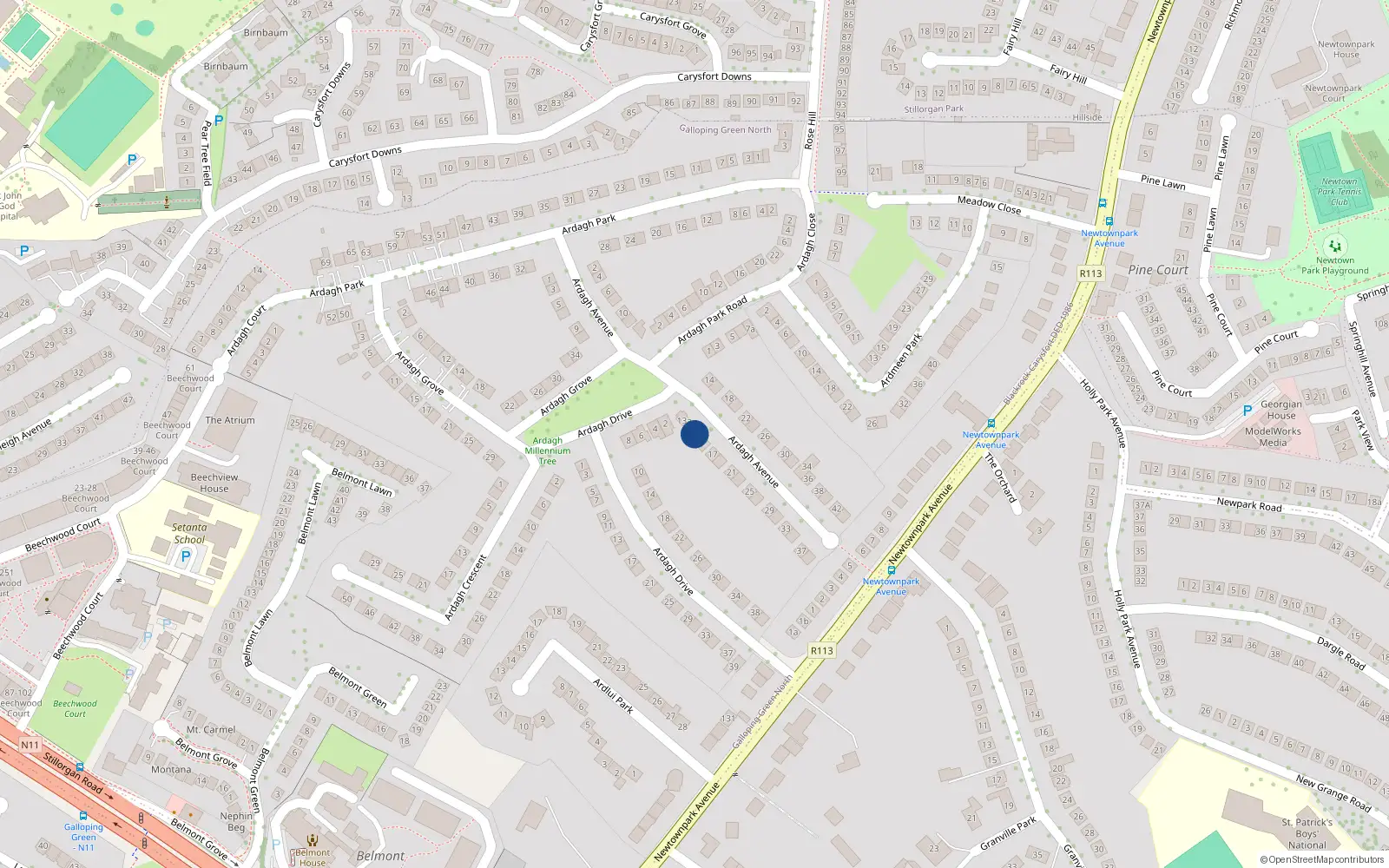 Overhead map showing the location of 13 Ardagh Avenue, Blackrock
