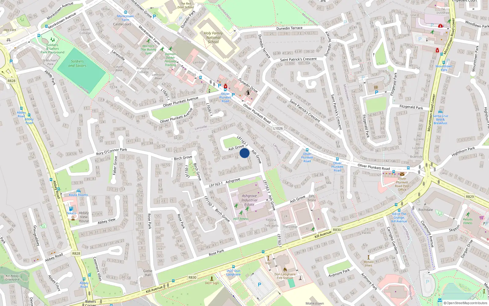 Overhead map showing the location of 13 Ash Grove, Kill Avenue, Dun Laoghaire
