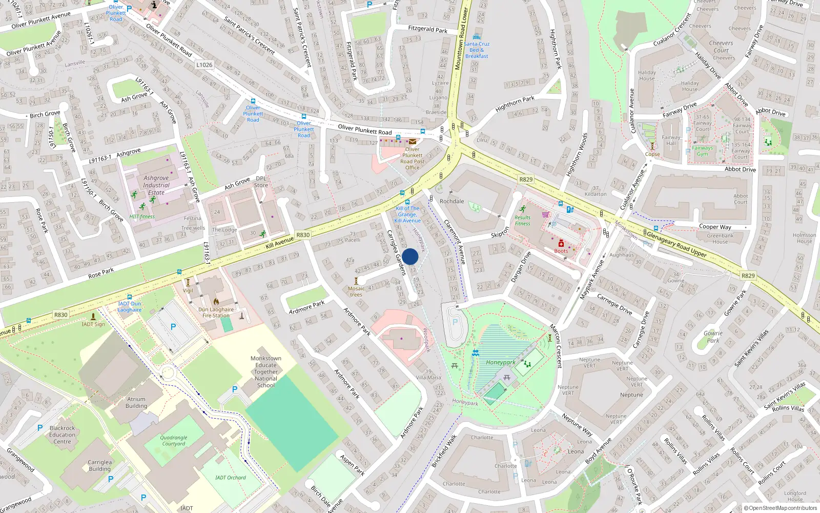 Overhead map showing the location of 13 Carriglea Gardens, Dublin