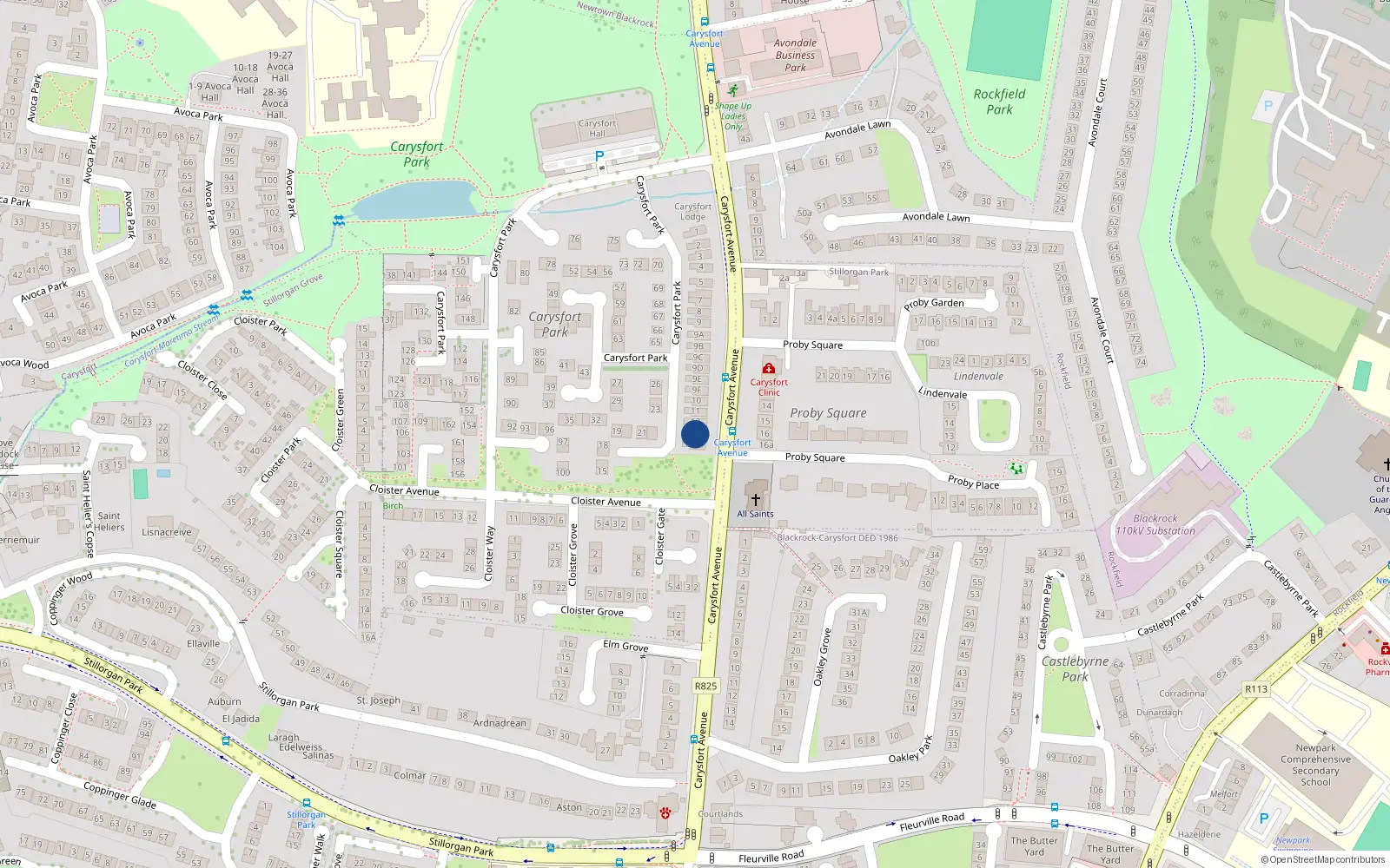 Overhead map showing the location of 13 Carysfort Park, Blackrock, Dublin