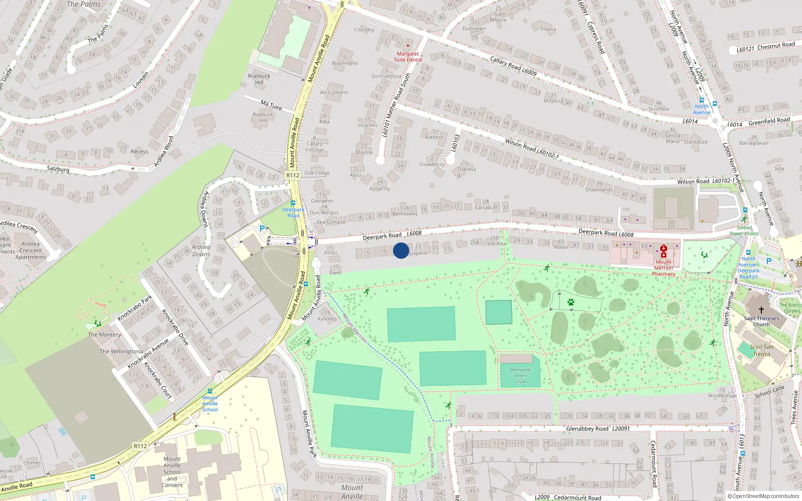 Overhead map showing the location of 13 Deerpark Road, Blackrock