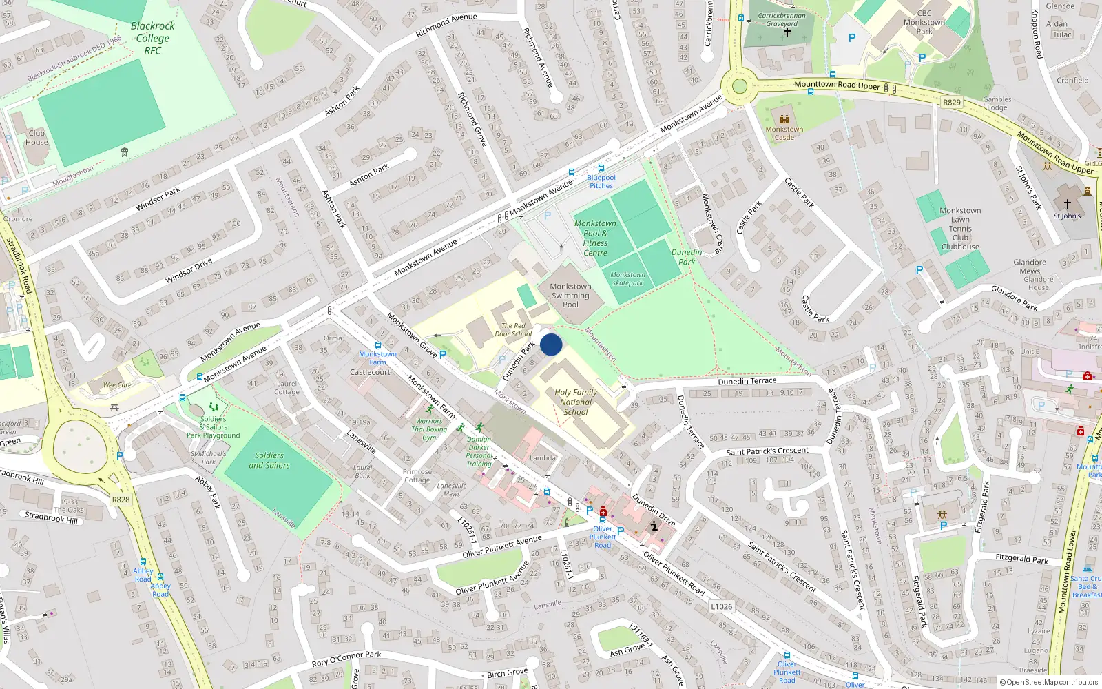 Overhead map showing the location of 13, 13 Dunedin Park, Monkstown