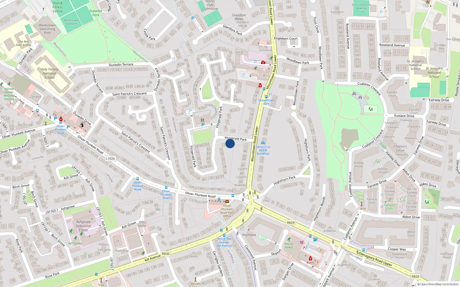 Overhead map showing the location of 13 Fitzgerald Park, Dun Laoghaire