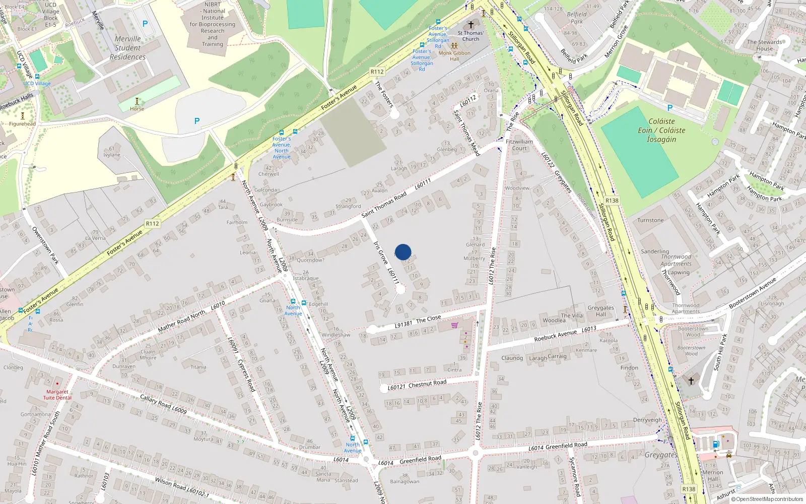 Overhead map showing the location of 13 Iris Grove, Blackrock