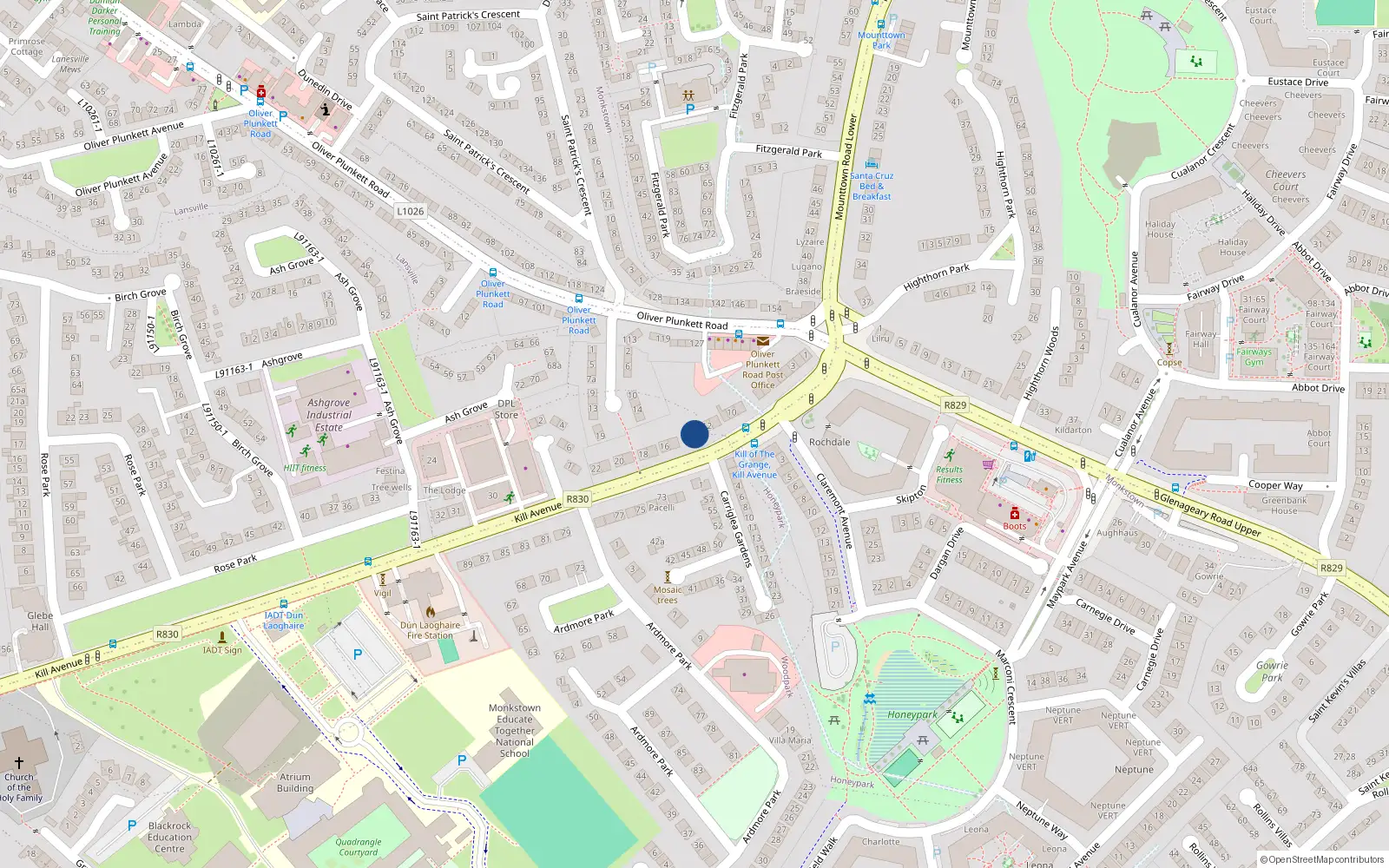 Overhead map showing the location of 13 Kill Avenue, Dun Laoghaire, Dublin