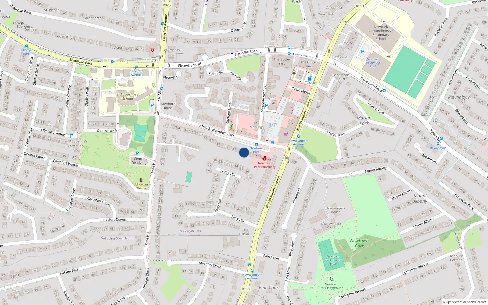 Overhead map showing the location of 13 Newtown Park, Blackrock, Dublin