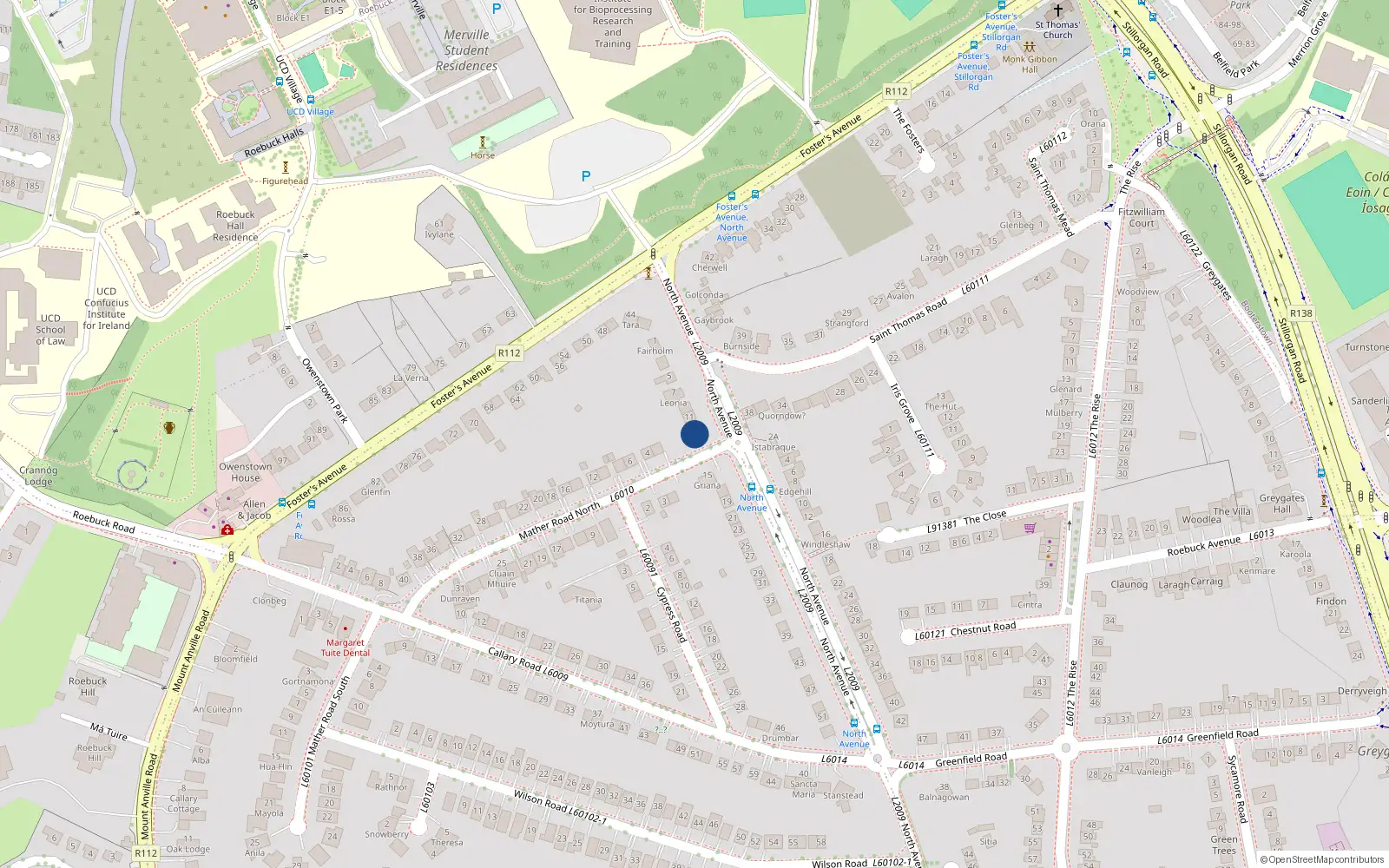 Overhead map showing the location of 13 North Avenue, Blackrock