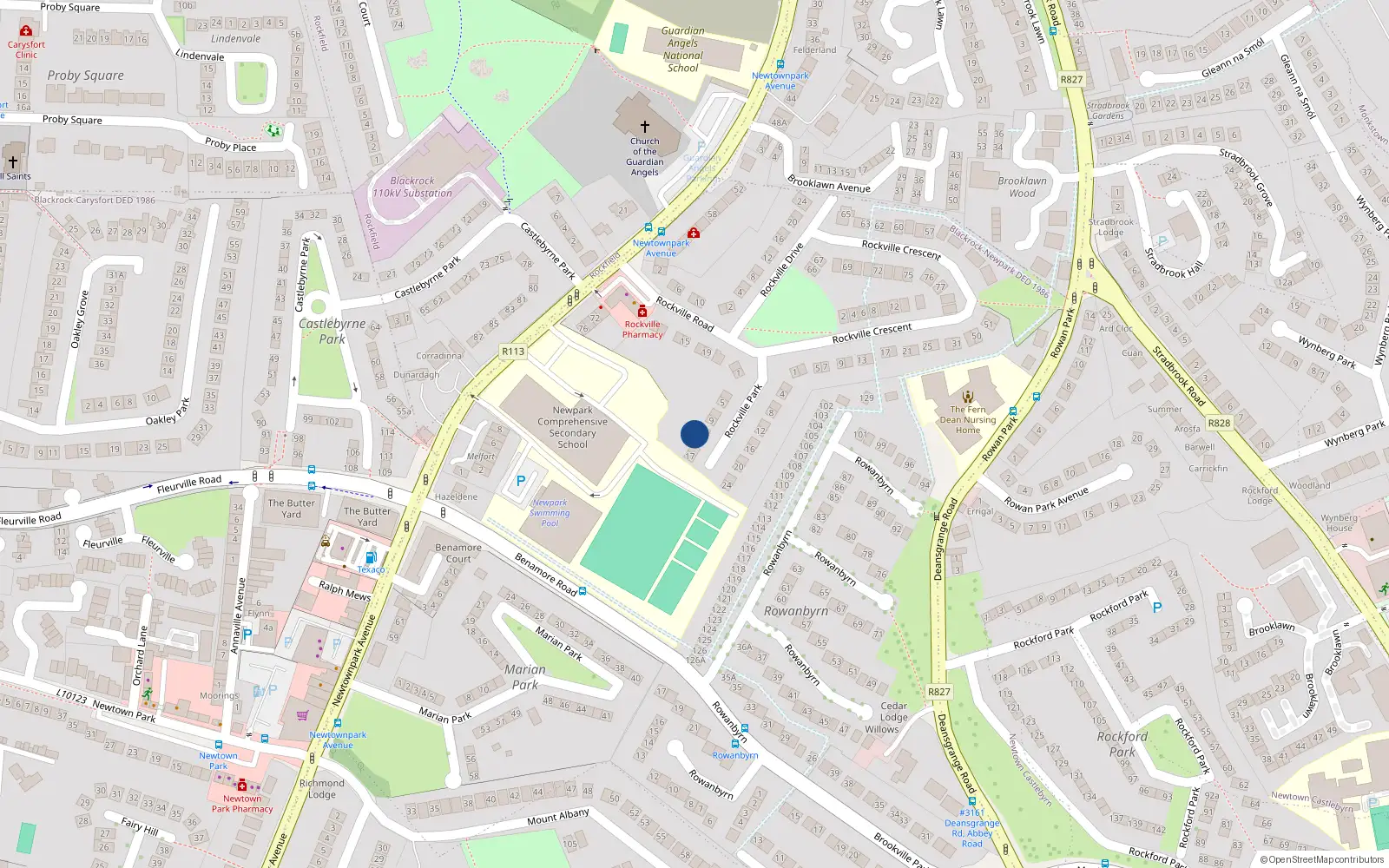 Overhead map showing the location of 13 Rockville Park, Blackrock