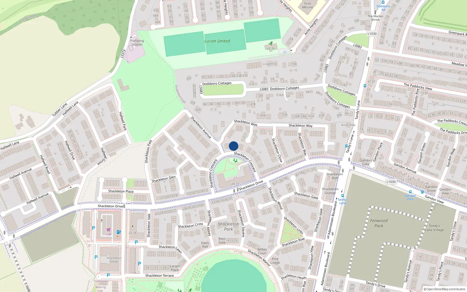 Overhead map showing the location of 13 Shackleton Crescent, Shackleton Park, Lucan