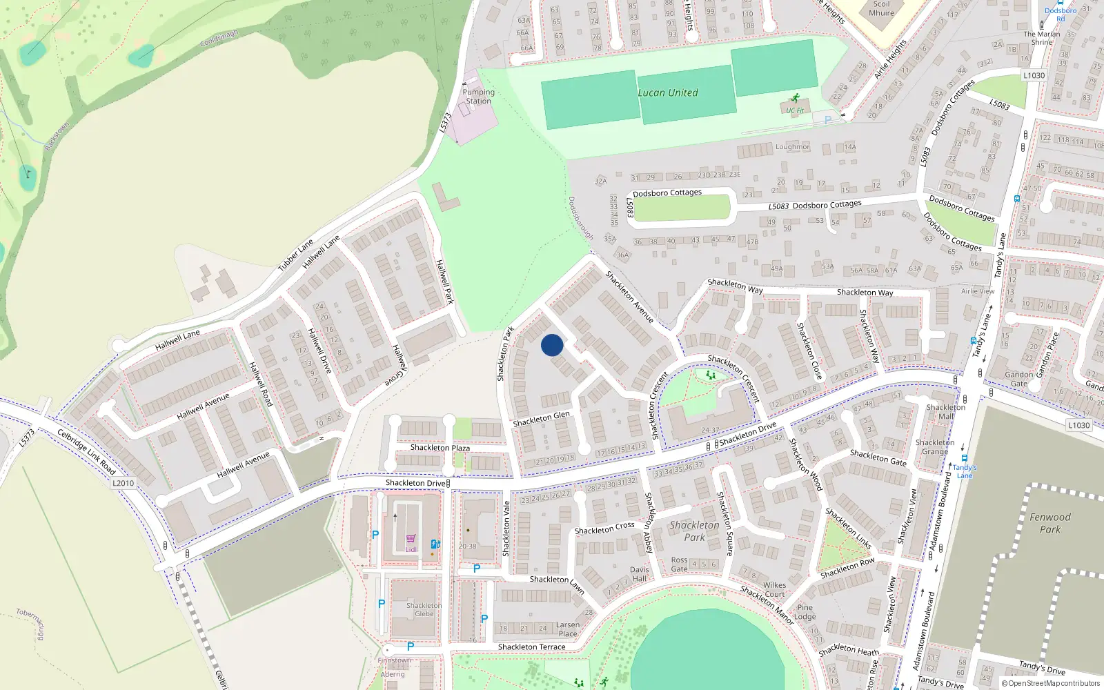 Overhead map showing the location of 13 Shackleton Grove, Lucan