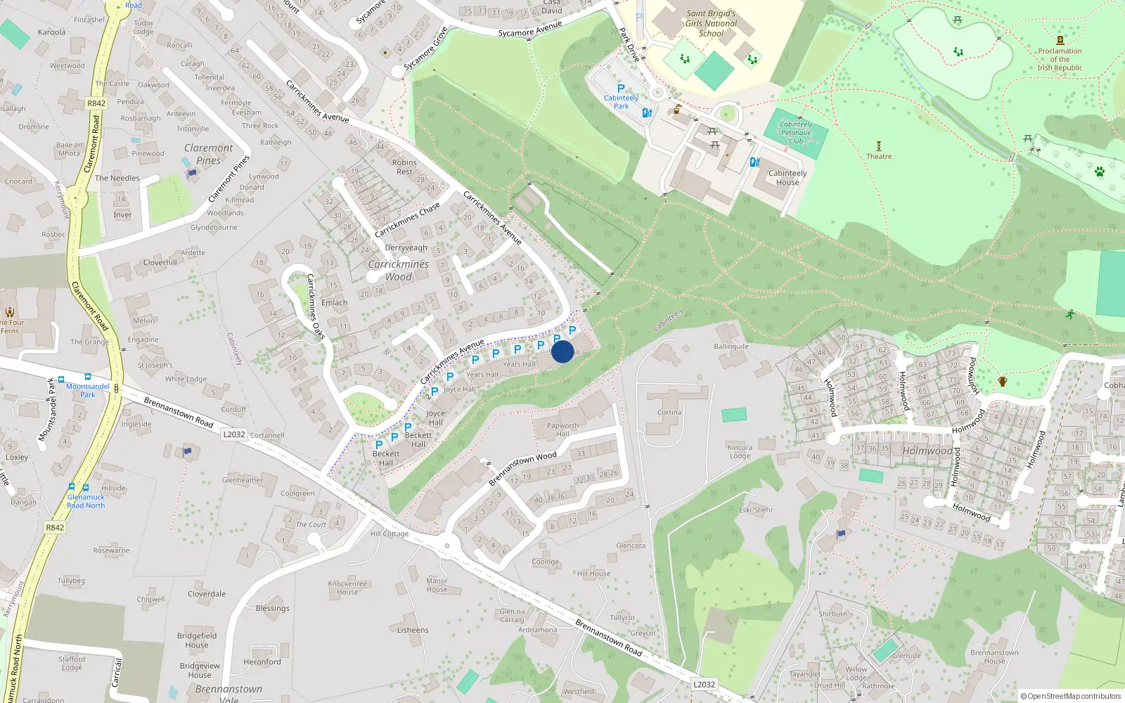 Overhead map showing the location of 13 Swift Hall, 23 Carrickmines Avenue, Dublin 18