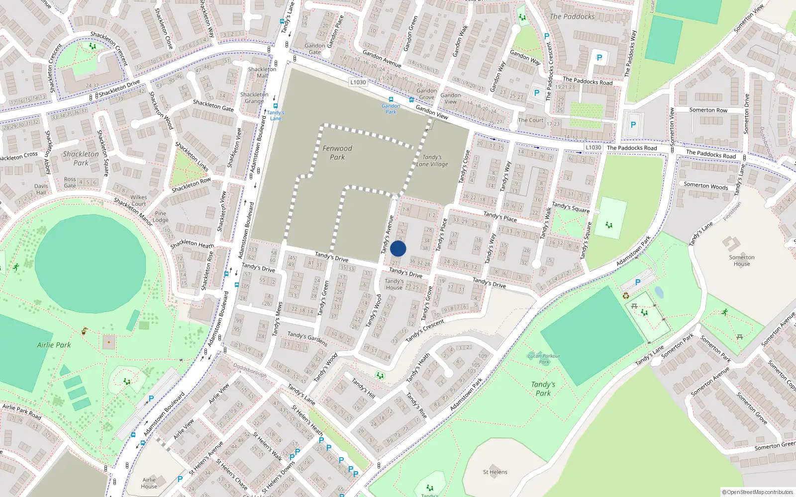 Overhead map showing the location of 13 Tandy's Avenue, Lucan