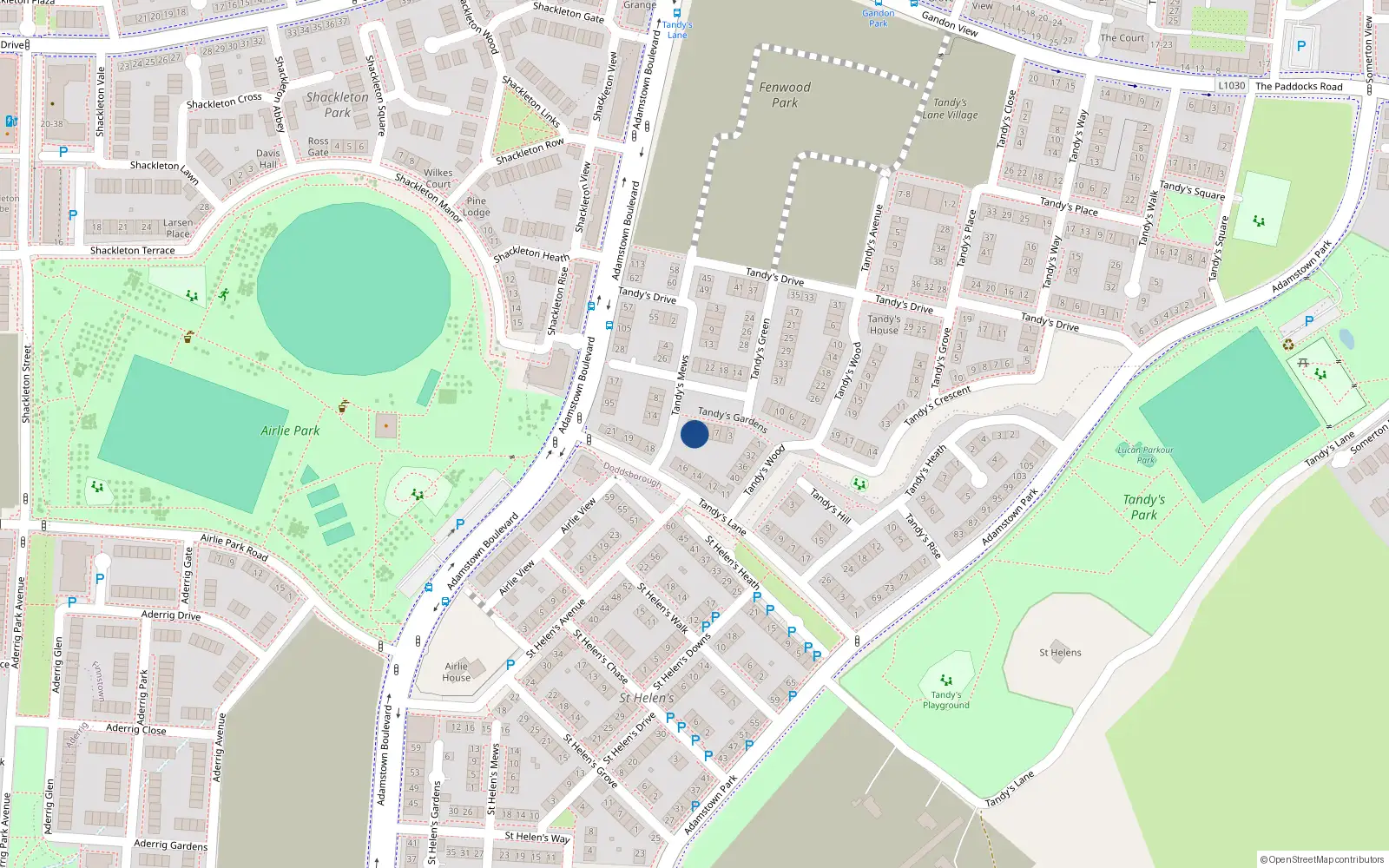 Overhead map showing the location of 13 Tandy's Heath, Adamstown