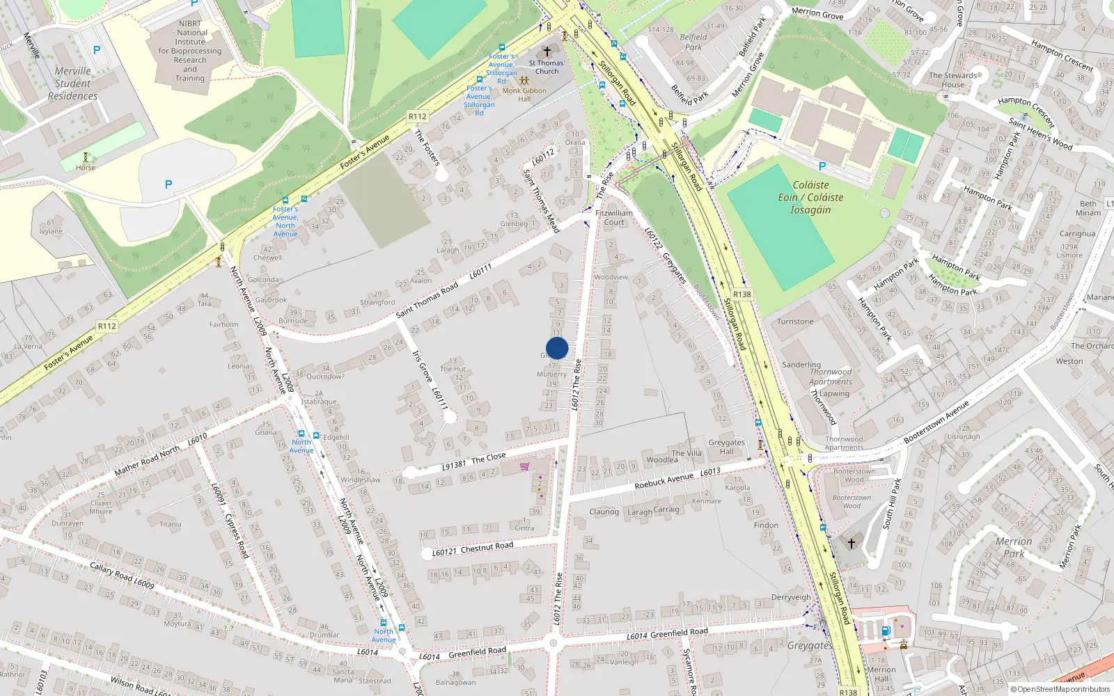 Overhead map showing the location of 13 The Rise, Blackrock