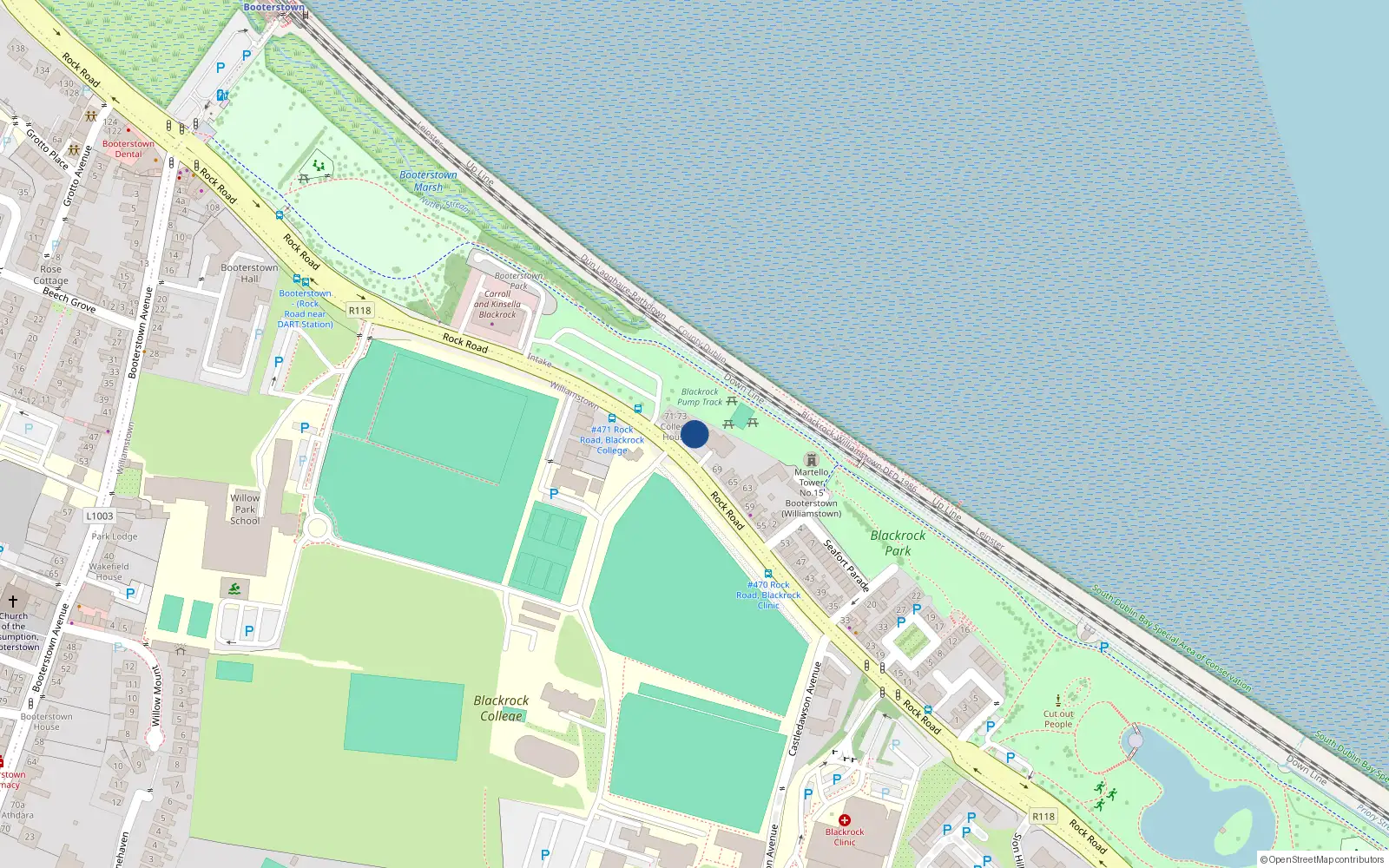 Overhead map showing the location of 13 the Willows, Rock Road, Blackrock