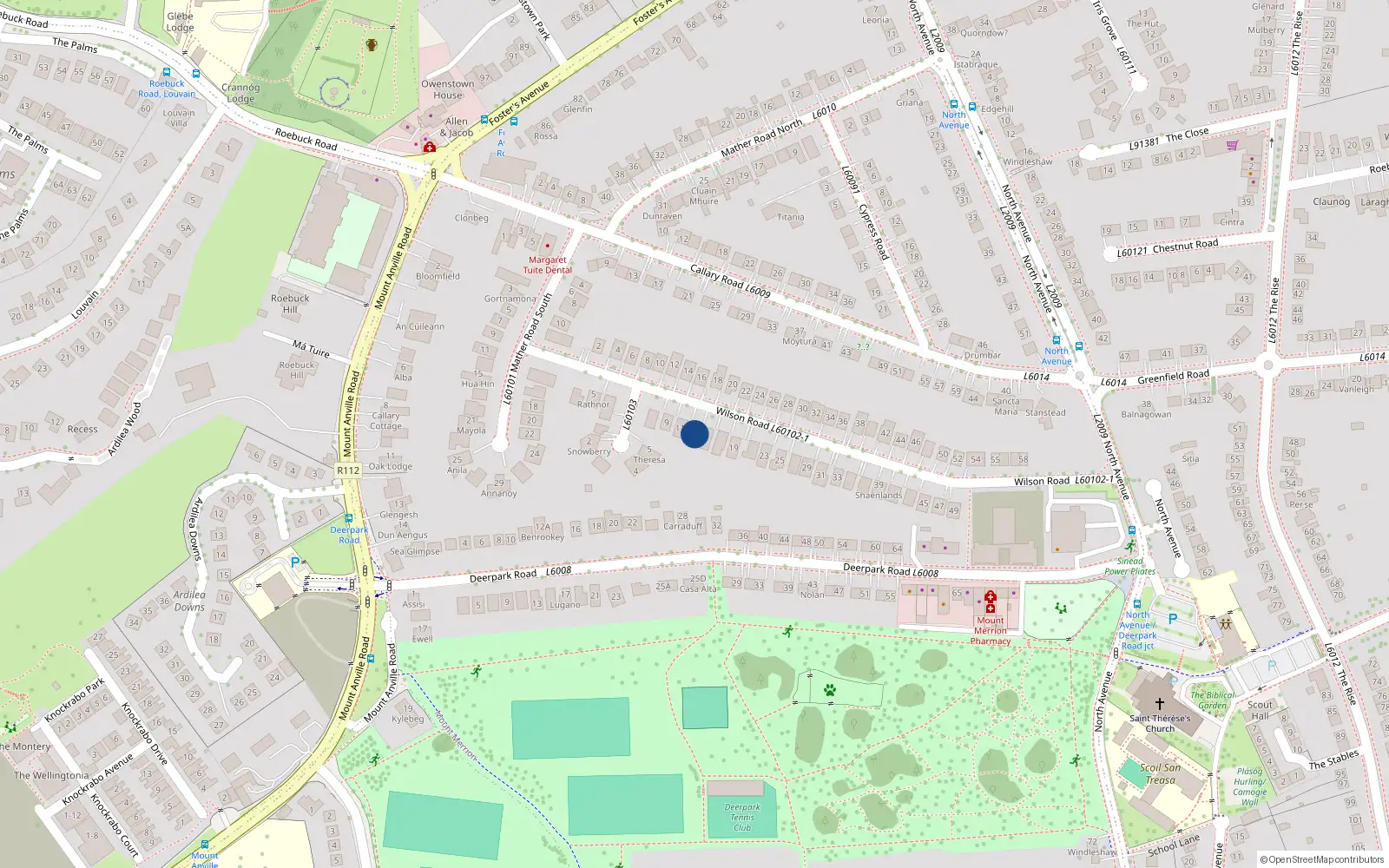 Overhead map showing the location of 13 Wilson Road, Blackrock