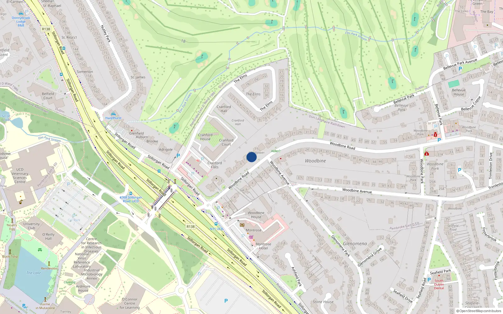 Overhead map showing the location of 13 Woodbine Road, Blackrock, Dublin
