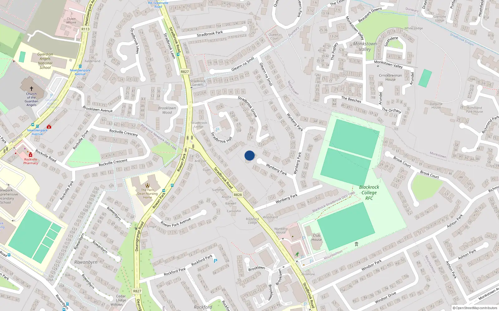 Overhead map showing the location of 13 Wynberg Park, Blackrock