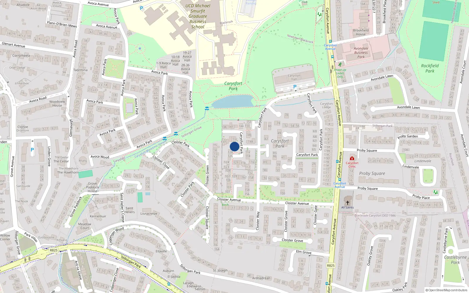 Overhead map showing the location of 131 Carysfort Park, Blackrock, Dublin