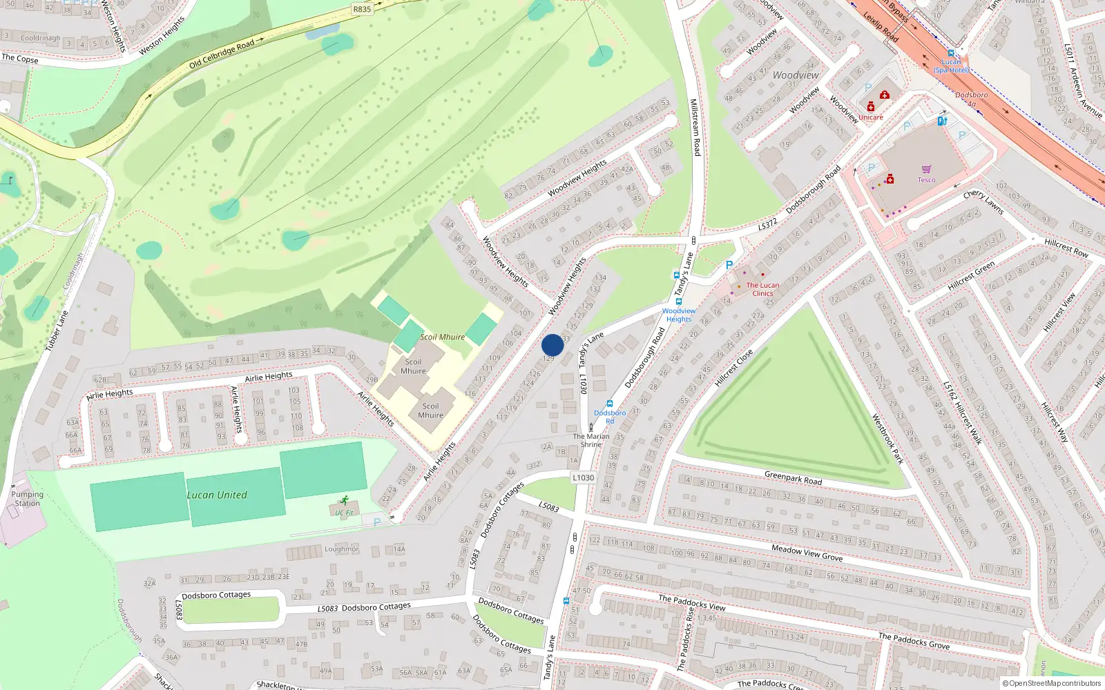 Overhead map showing the location of 131 Woodview Heights, Lucan, Dublin