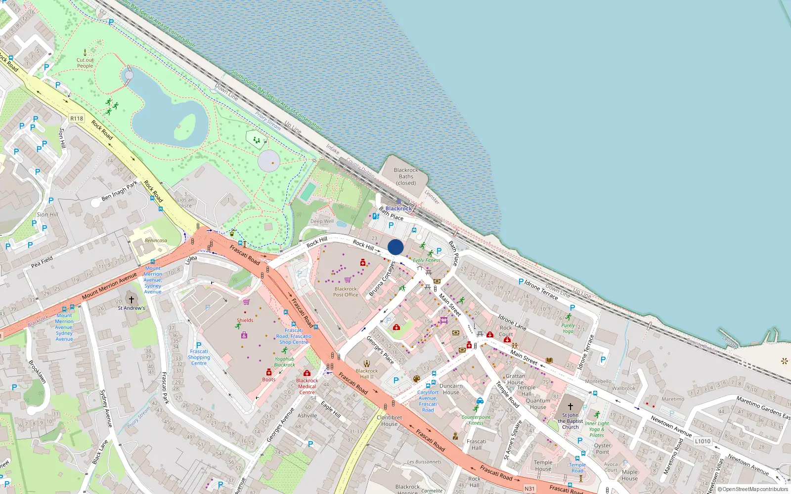 Overhead map showing the location of 15 Rock Hill, Blackrock