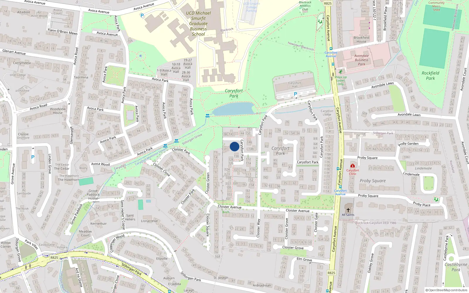 Overhead map showing the location of 132 Carysfort Park, Blackrock, Dublin