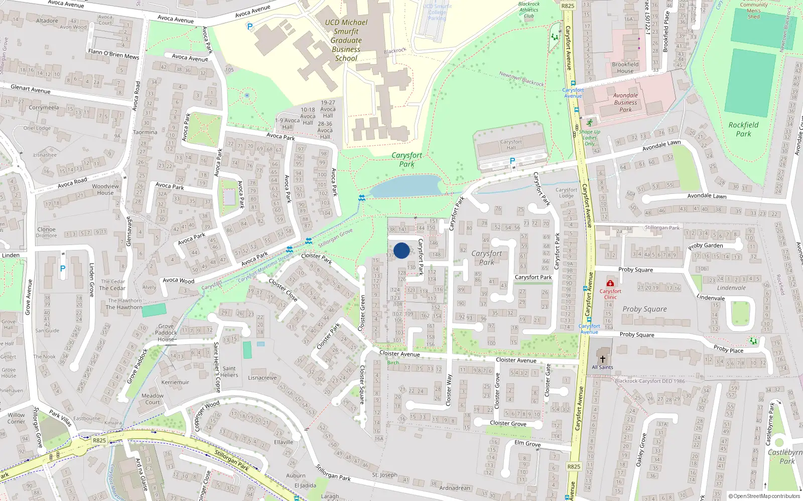 Overhead map showing the location of 134 Carysfort Park, Blackrock