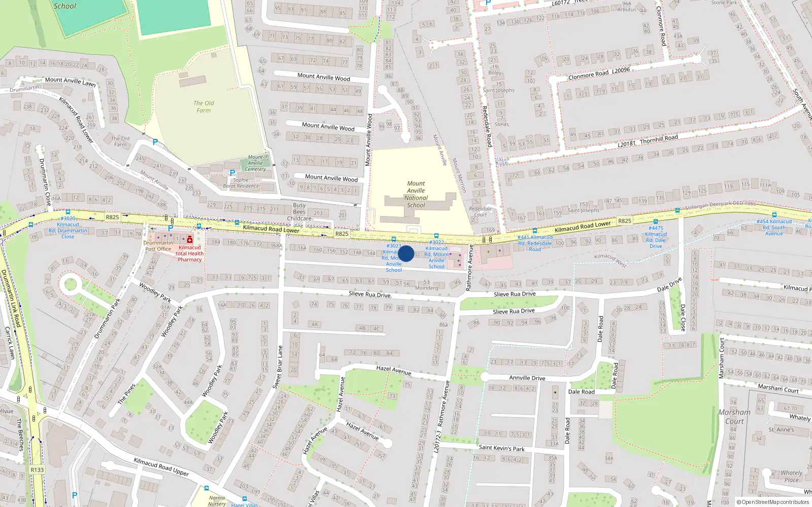 Overhead map showing the location of 134 Lower Kilmacud Road, Dublin
