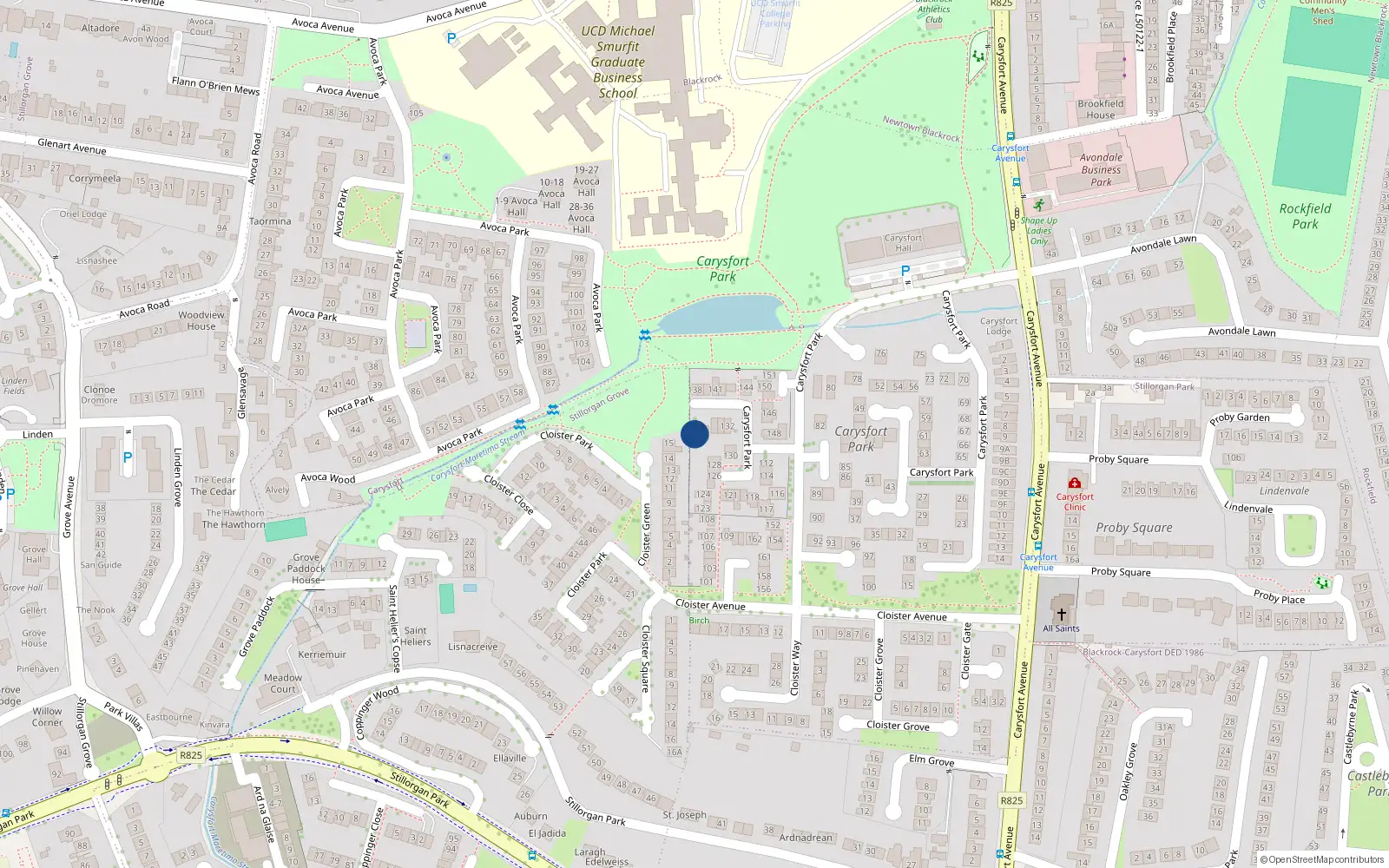 Overhead map showing the location of 137 Carysfort Park, Blackrock, Co. Dublin