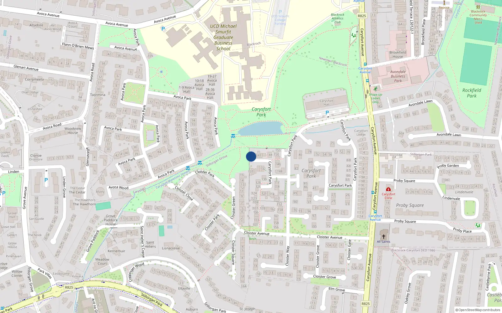 Overhead map showing the location of 138 Carysfort Park, Blackrock