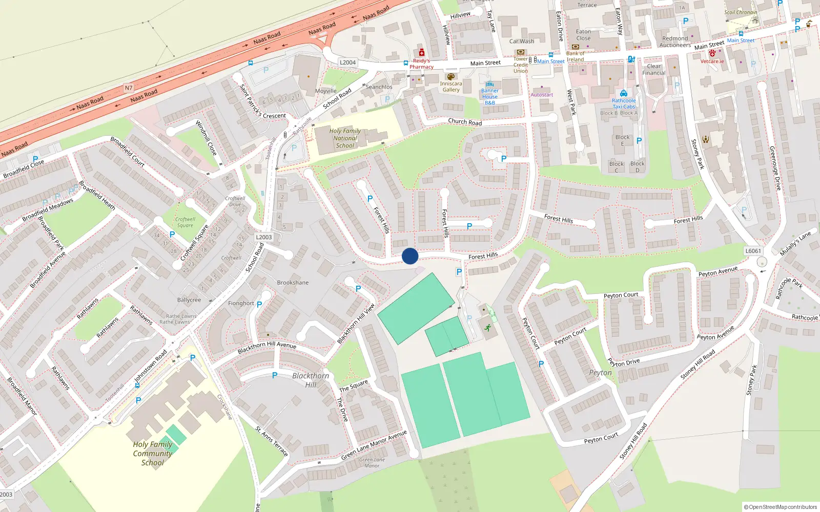 Overhead map showing the location of 139 Forest Hills, Rathcoole