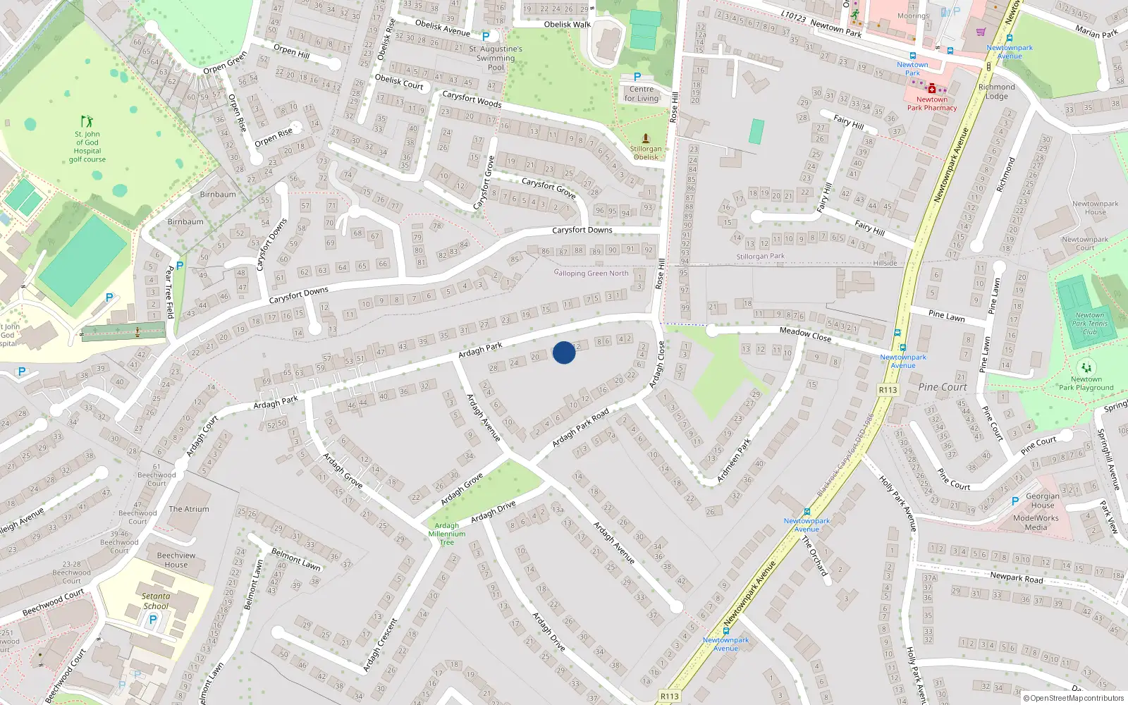 Overhead map showing the location of 14 Ardagh Park, Blackrock