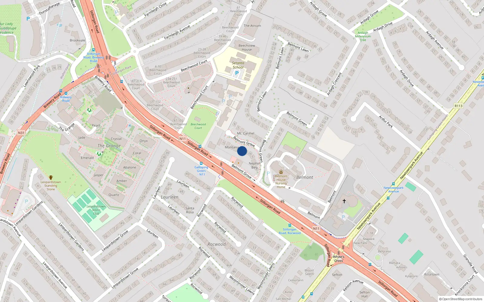 Overhead map showing the location of 14 Belmont Grove, Blackrock