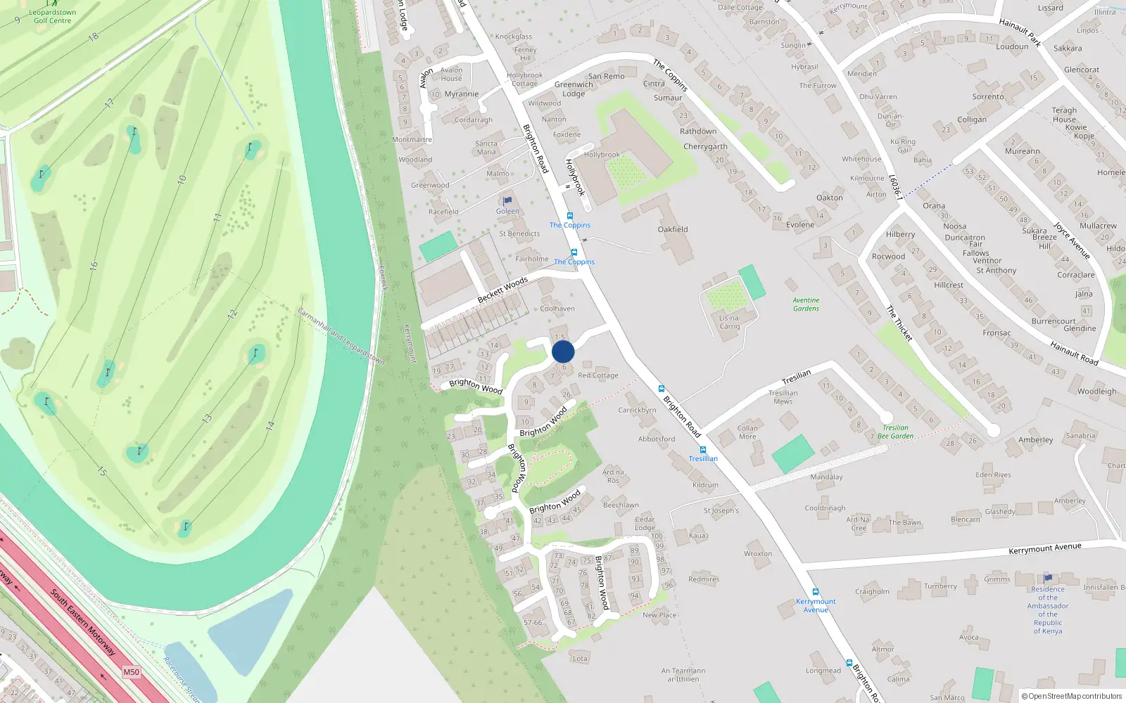 Overhead map showing the location of 14 Brighton Wood, Foxrock