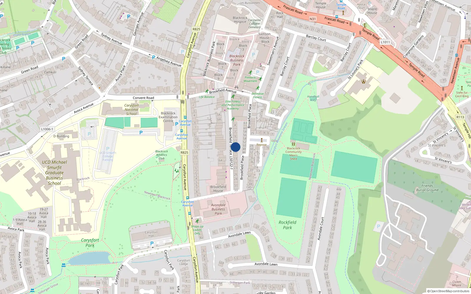 Overhead map showing the location of 14 Brookfield Terrace, Blackrock