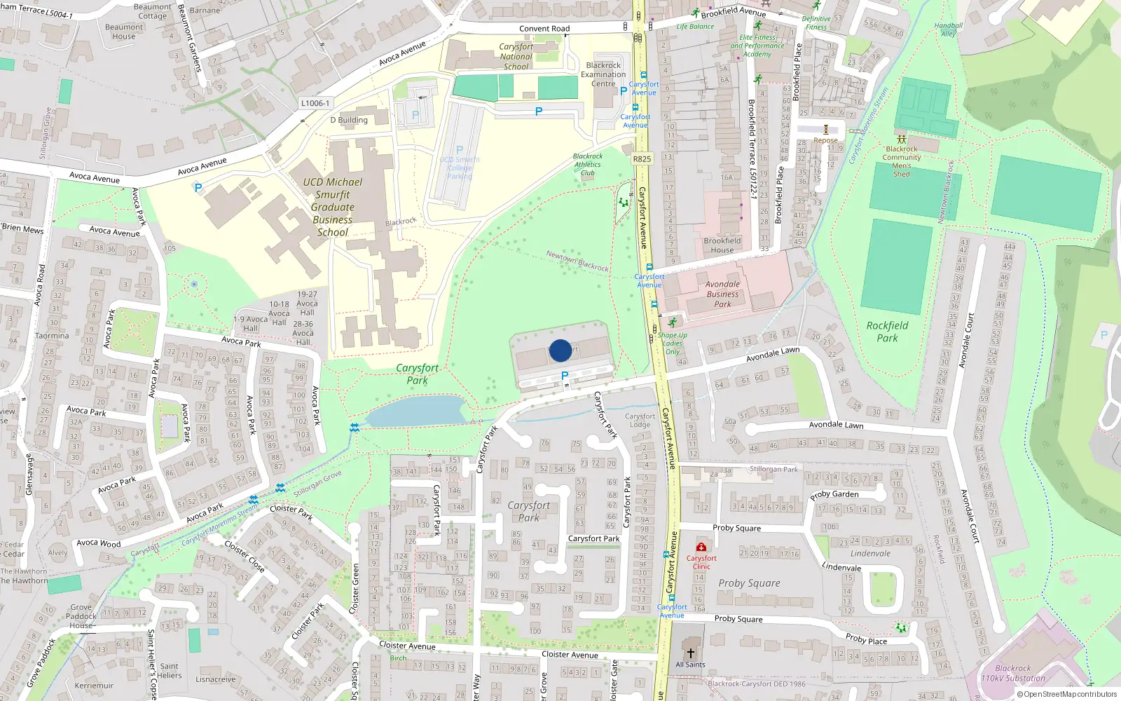 Overhead map showing the location of 14 Carysfort Park, Blackrock