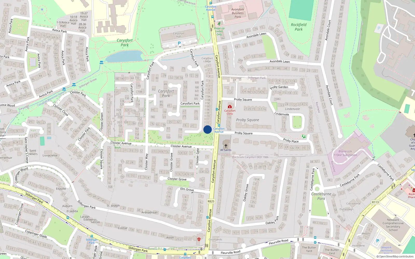 Overhead map showing the location of 14 Carysfort Park, Blackrock, Dublin