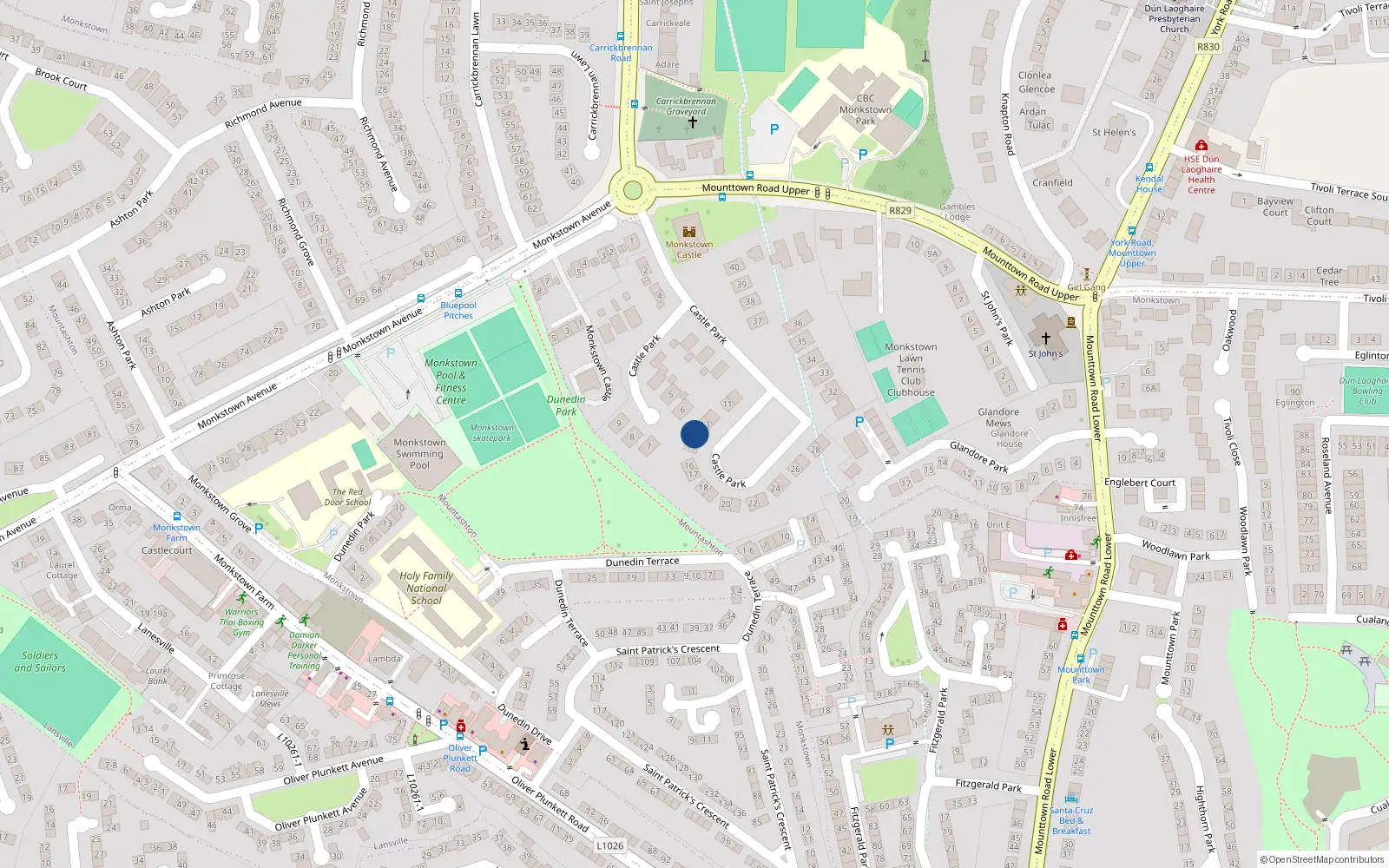 Overhead map showing the location of 14 Castle Park, Monkstown