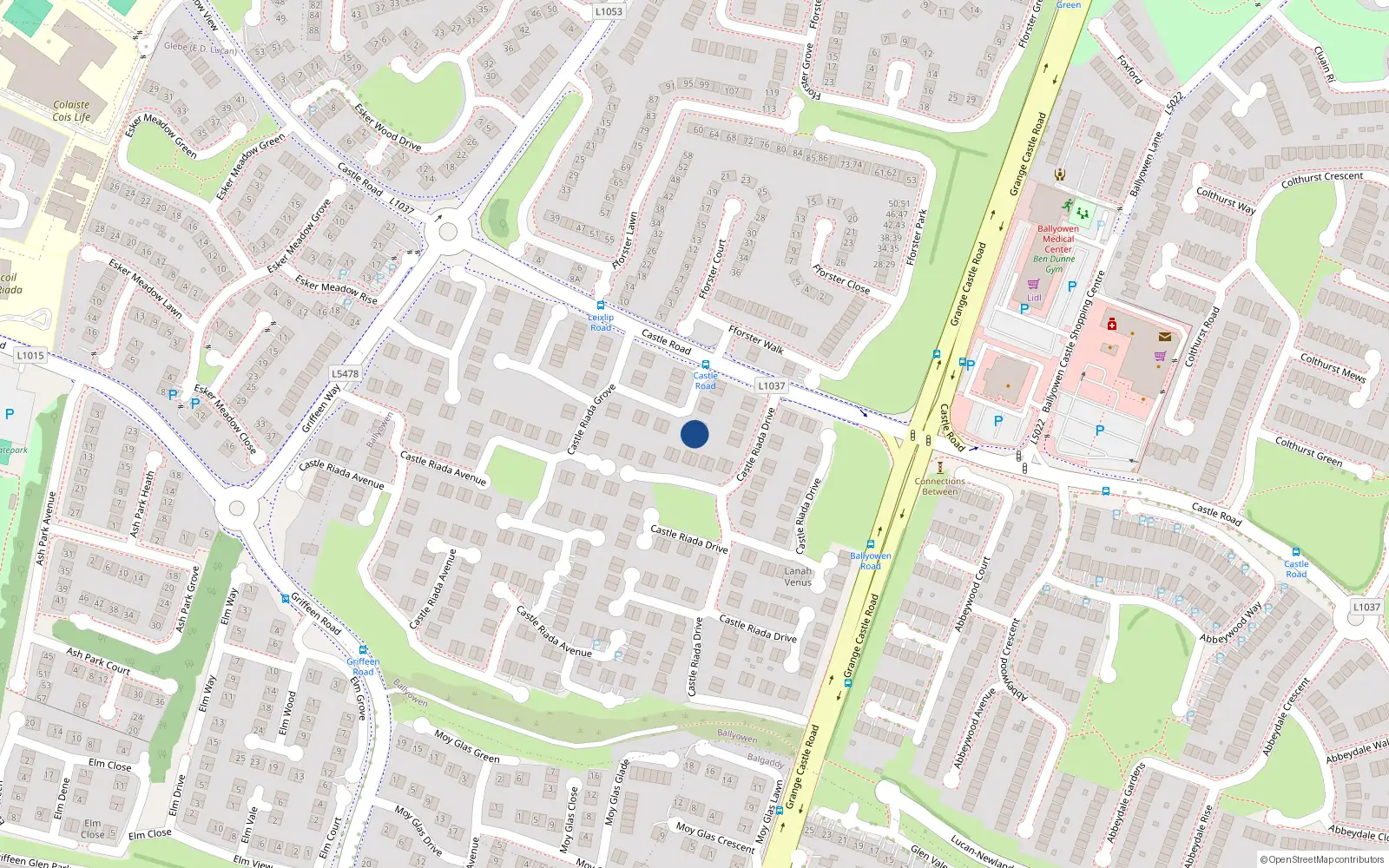 Overhead map showing the location of 14 Castle Riada Grove, Lucan