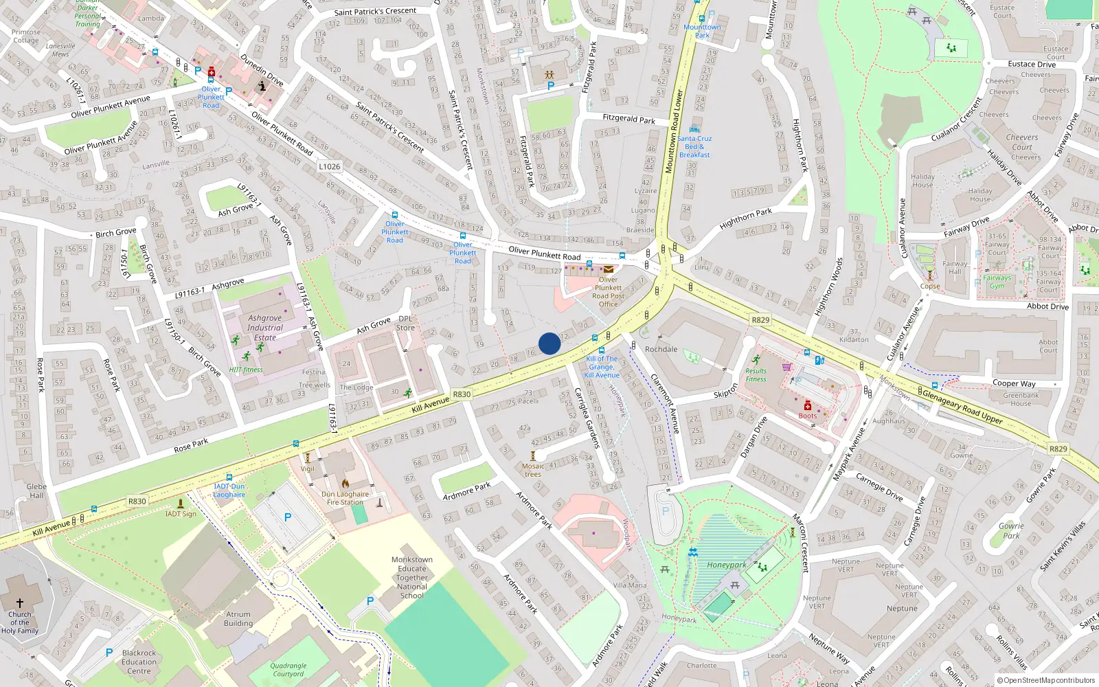 Overhead map showing the location of 14 Kill Avenue, Dublin