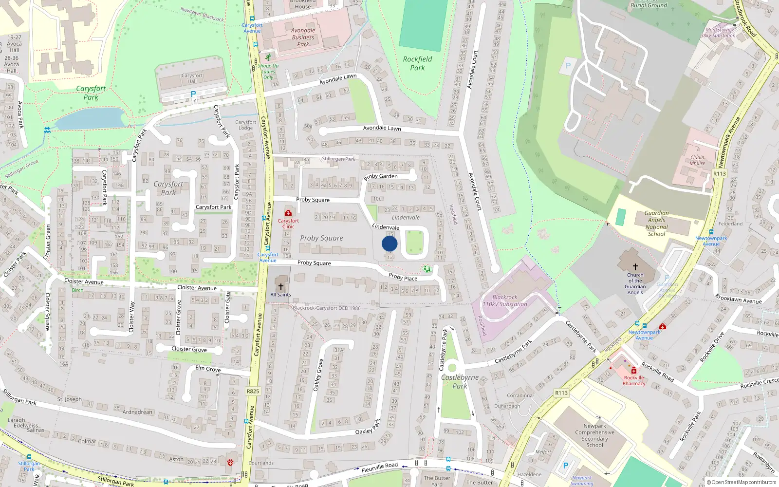 Overhead map showing the location of 14 Lindenvale, Blackrock