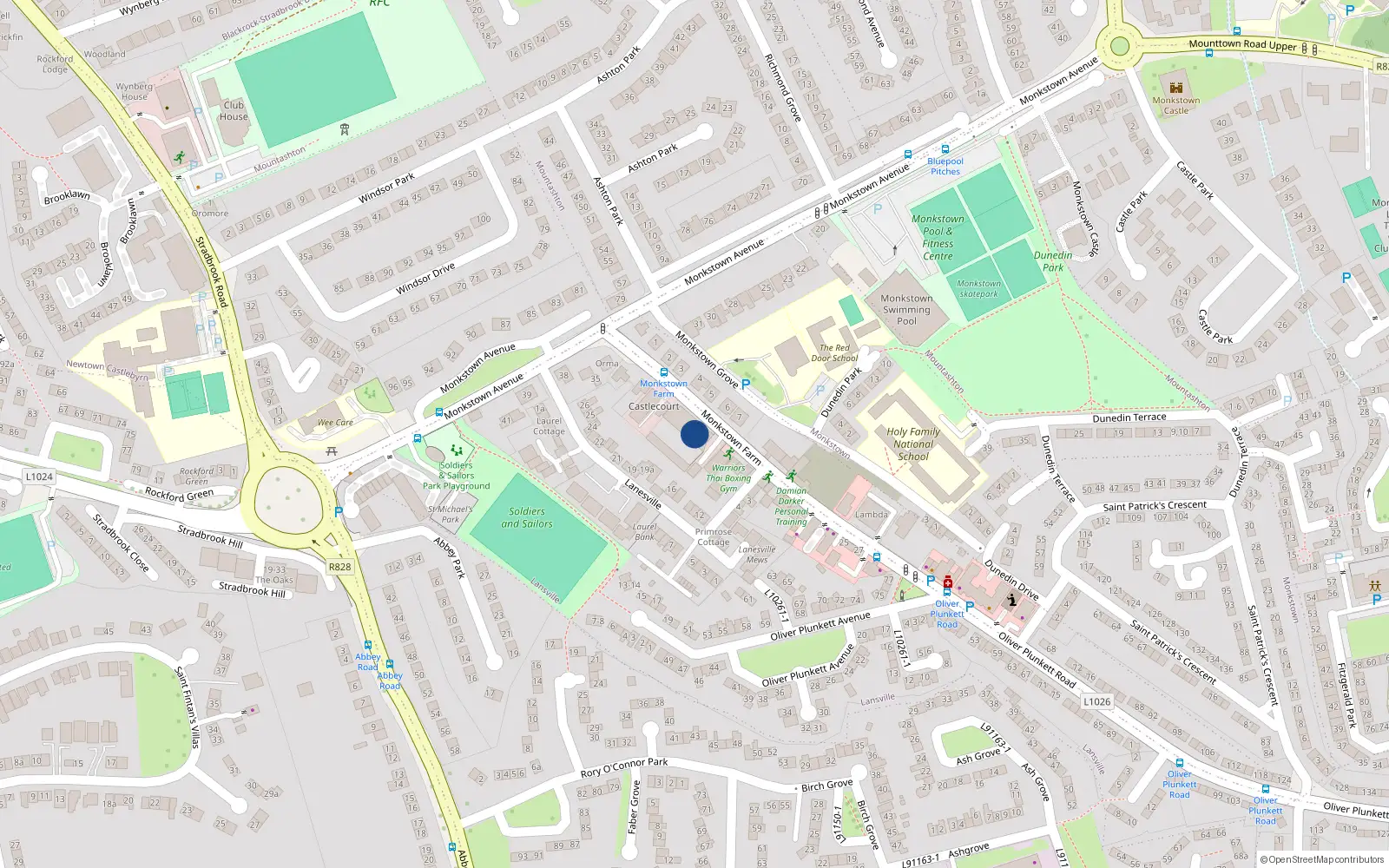 Overhead map showing the location of 14 Monkstown Manor, Monkstown Farm, Monkstown