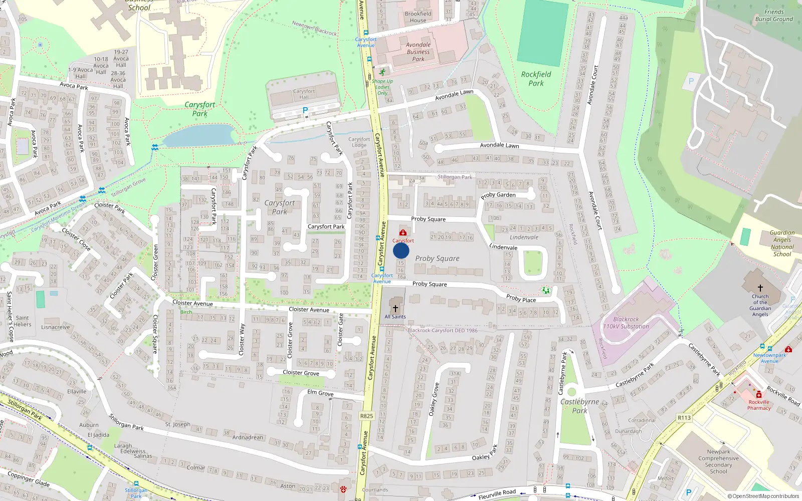 Overhead map showing the location of 14 Proby Square, Blackrock