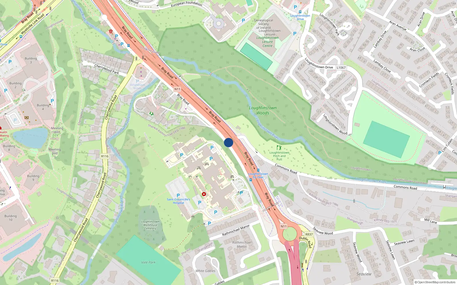 Overhead map showing the location of 14 Rathmichael Park, Bray Road, Shankill