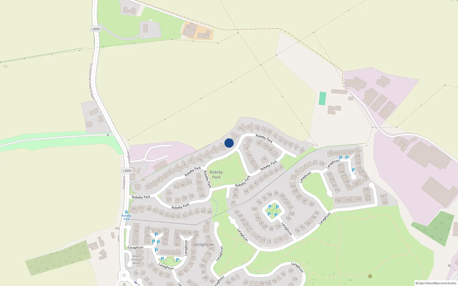 Overhead map showing the location of 14 Rokeby Park, Lucan