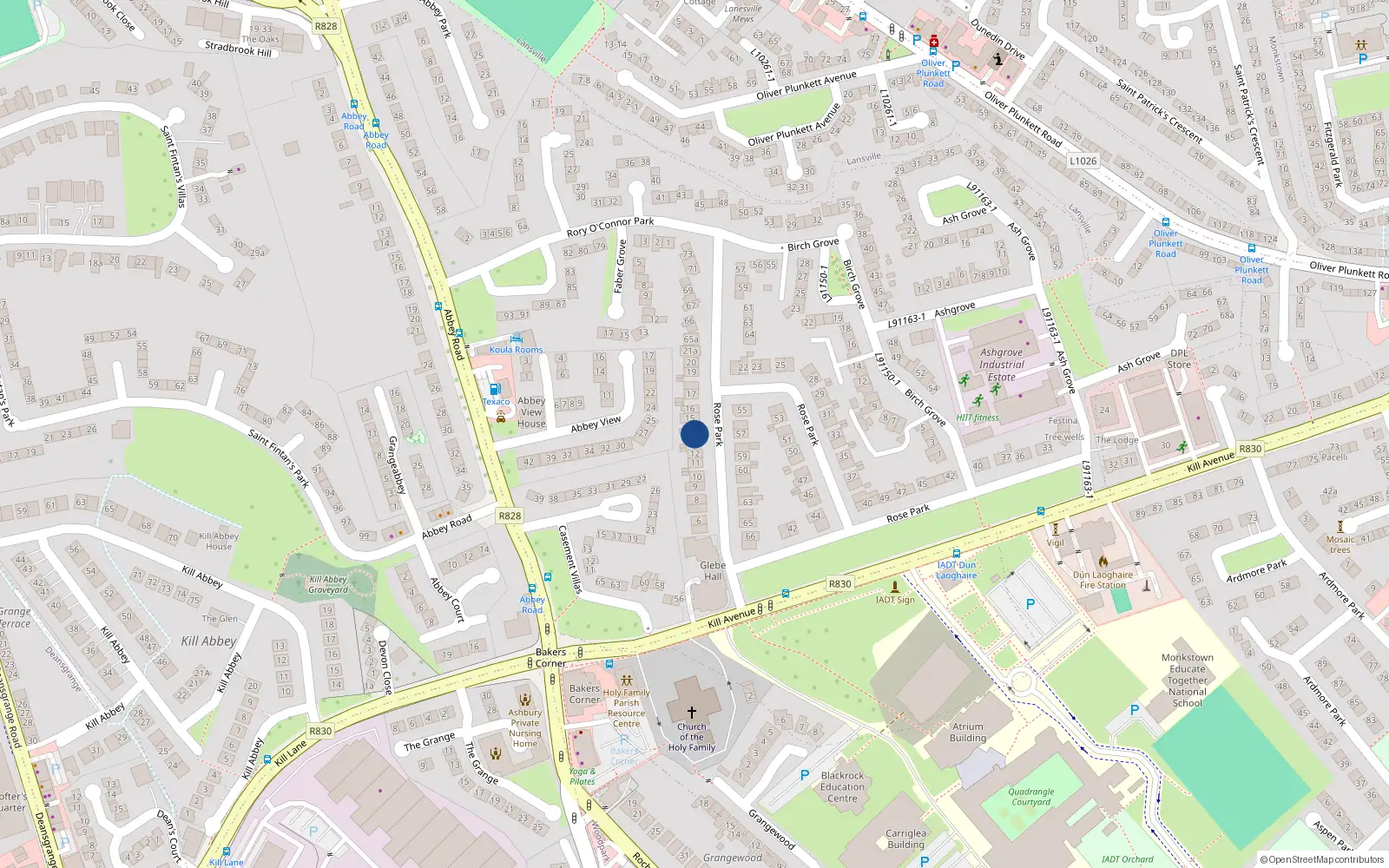 Overhead map showing the location of 14 Rose Park, Dun Laoighre