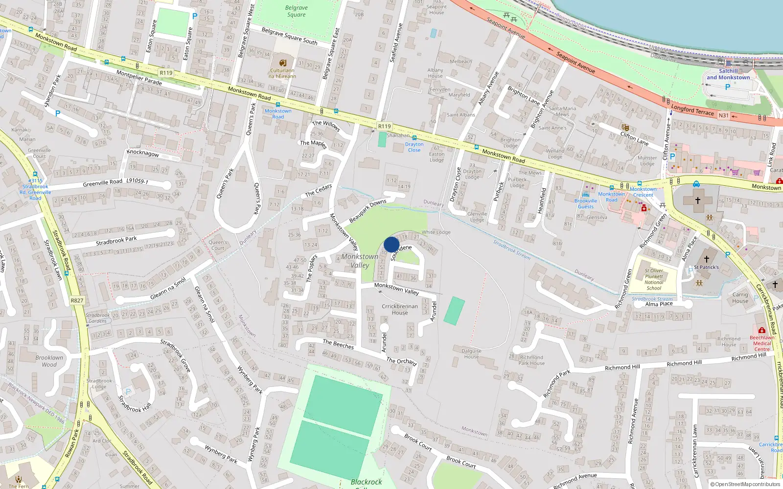 Overhead map showing the location of 14 Southdene, Monkstown