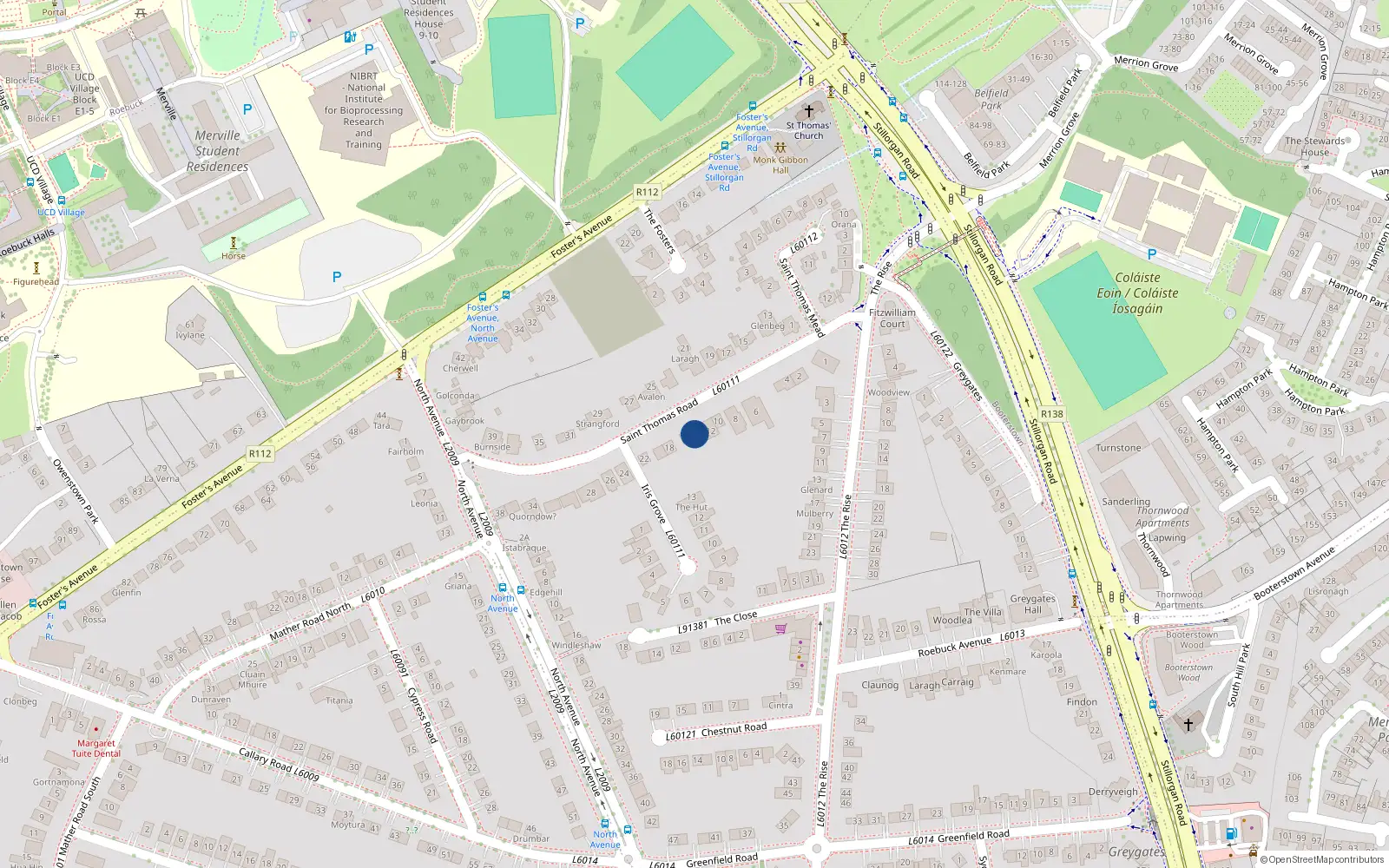Overhead map showing the location of 14 St Thomas Road, Mount Merrion, Blackrock