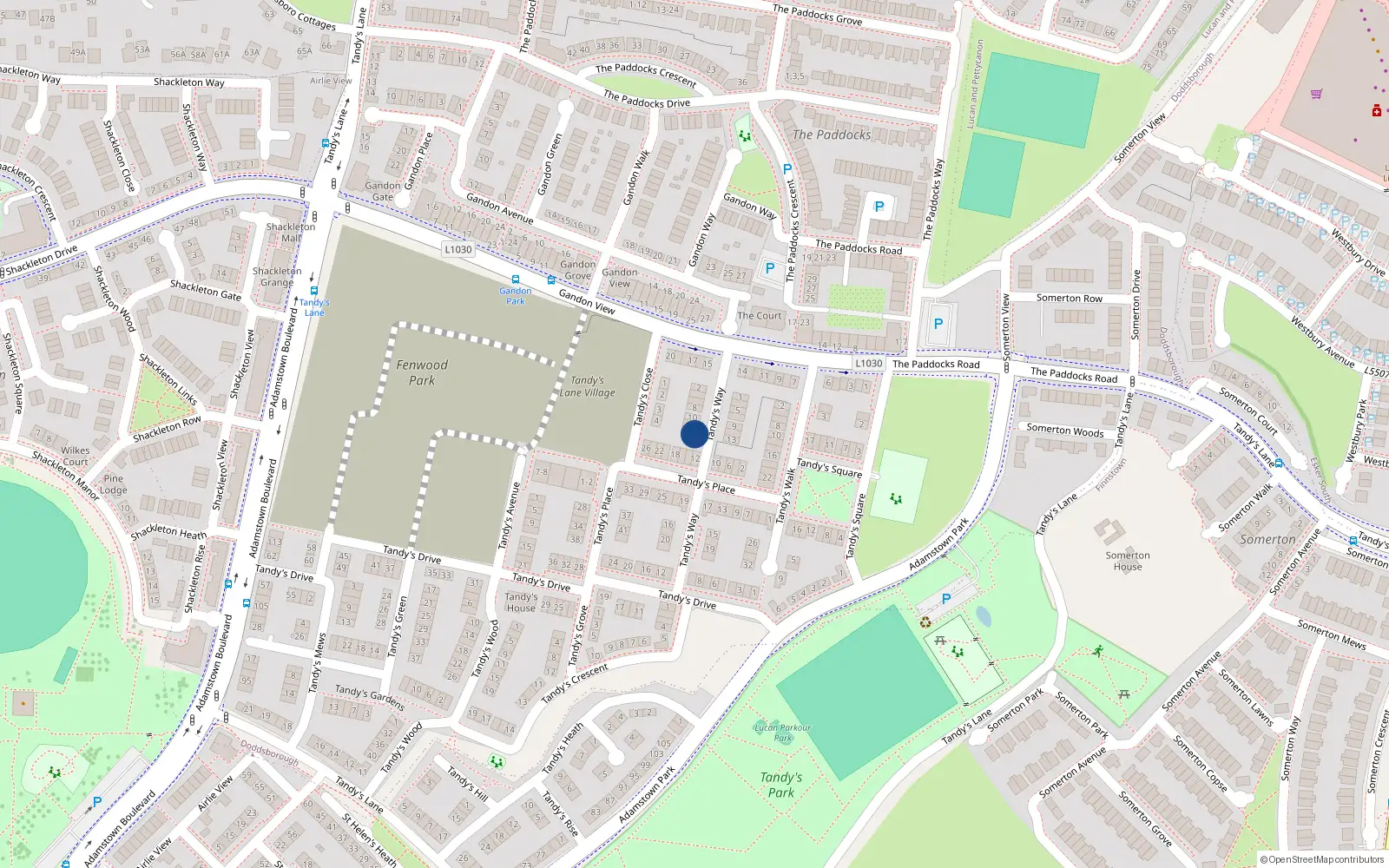Overhead map showing the location of 14 Tandy's Walk, Lucan