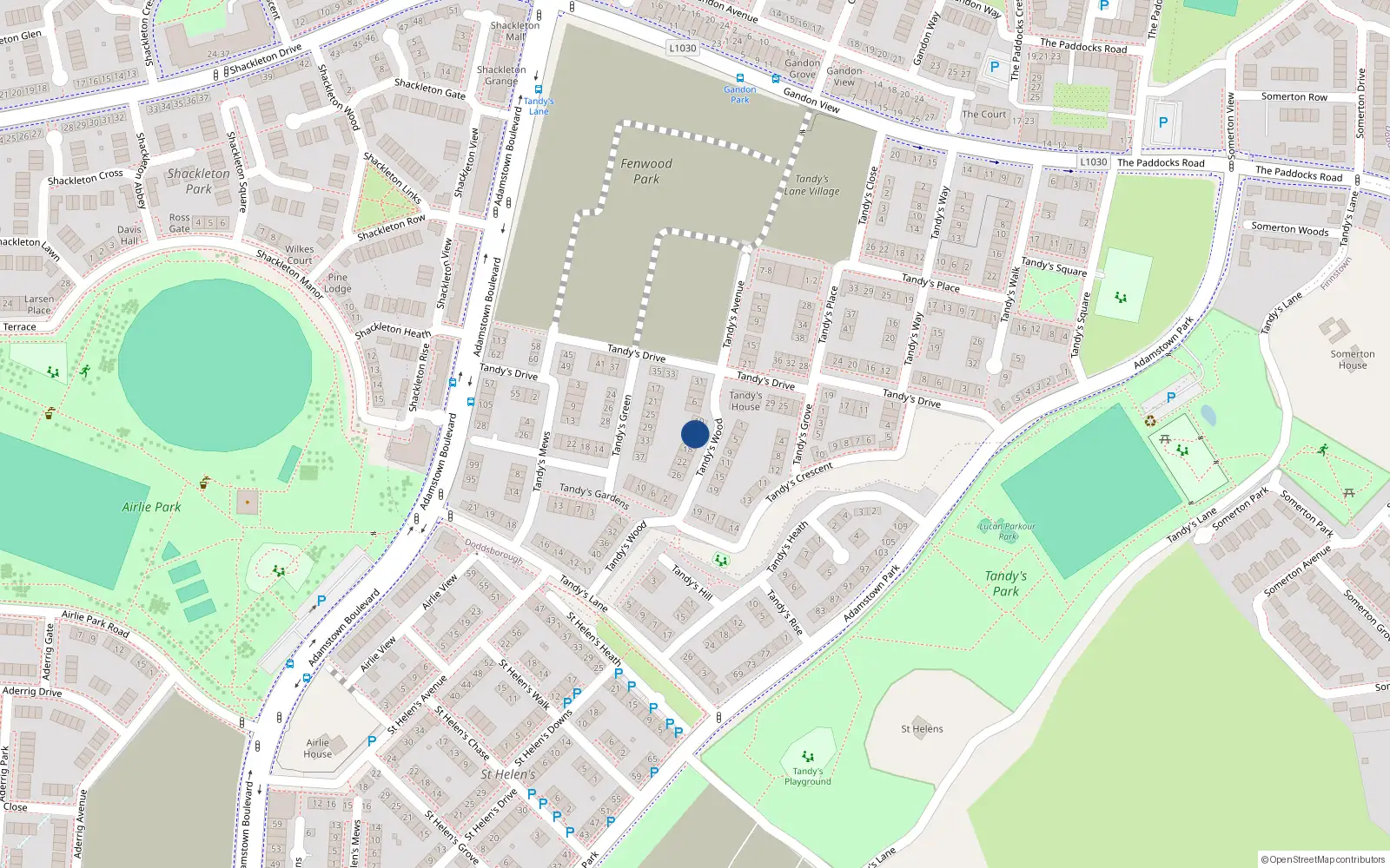 Overhead map showing the location of 14 Tandy's Wood, Adamstown, Lucan